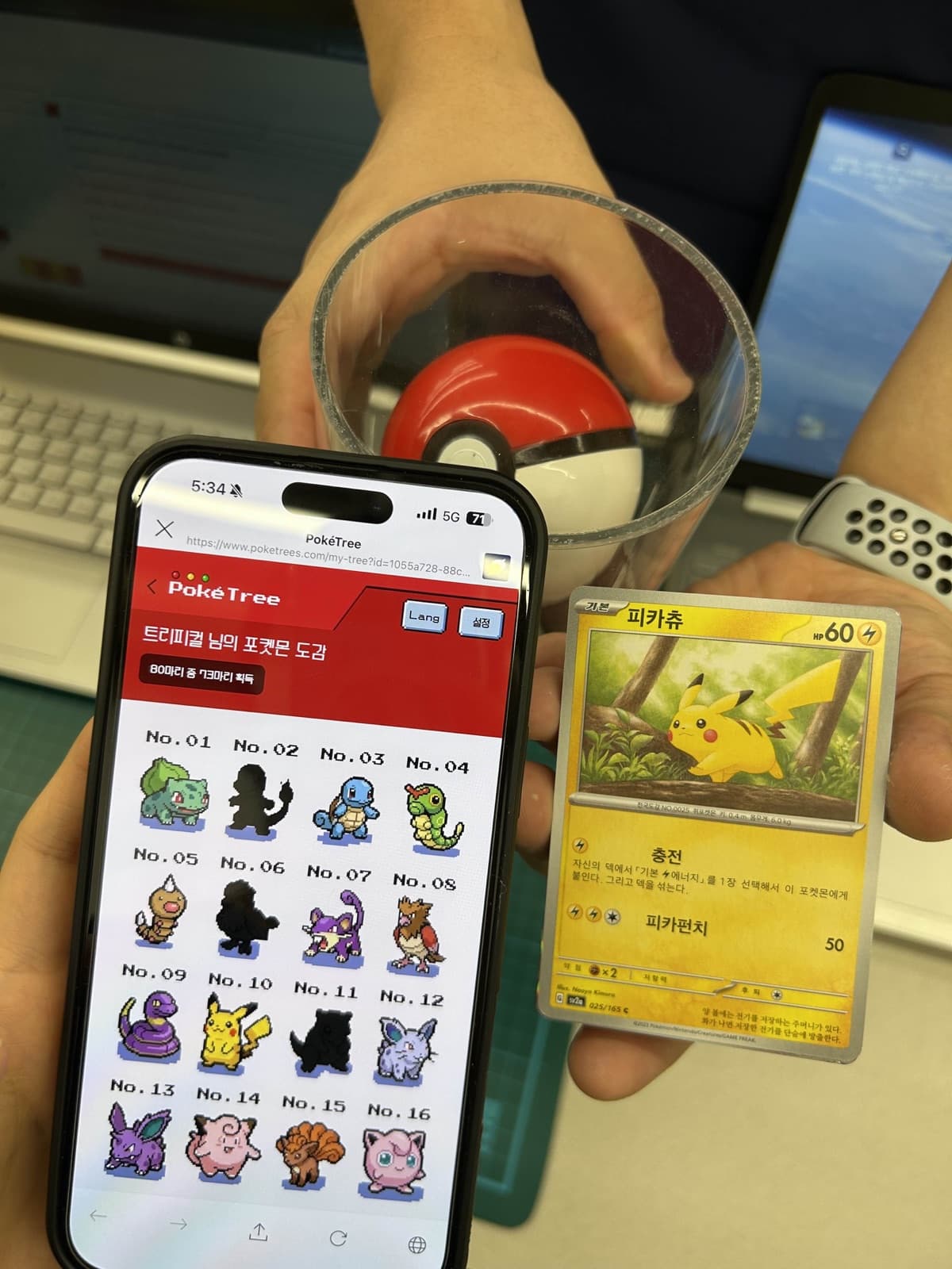 実機で開いたPokeTreeのキャラクター図鑑